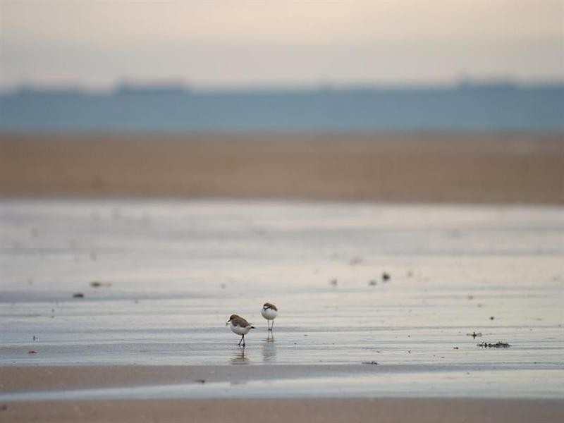 28 Owen Jenkins Drive, Sarina Beach QLD 4737