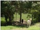 467 Middle Creek Road, Sarina QLD 4737