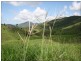 467 Middle Creek Road, Sarina QLD 4737