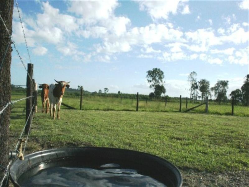 19 Pugsley Street, Walkerston QLD 4751