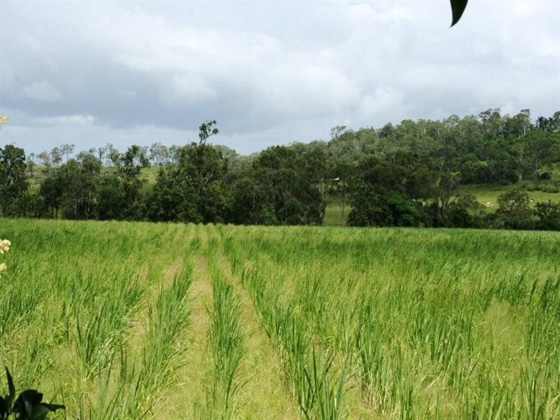 688 Sarina Beach Road, Sarina QLD 4737