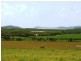 688 Sarina Beach Road, Sarina QLD 4737