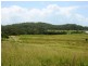 688 Sarina Beach Road, Sarina QLD 4737