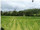 688 Sarina Beach Road, Sarina QLD 4737