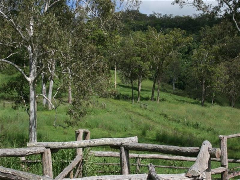 1067 East Funnel Creek Road, Sarina QLD 4737