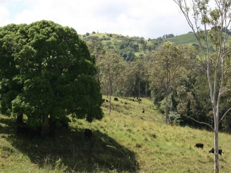 1067 East Funnel Creek Road, Sarina QLD 4737