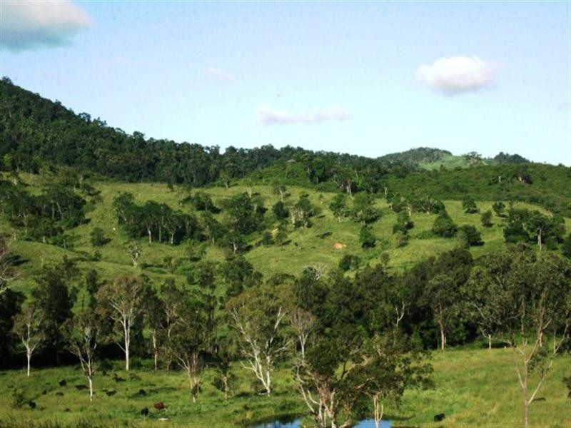 1067a East Funnel Creek Road, Sarina QLD 4737