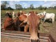88479 Bruce Highway, Koumala QLD 4738