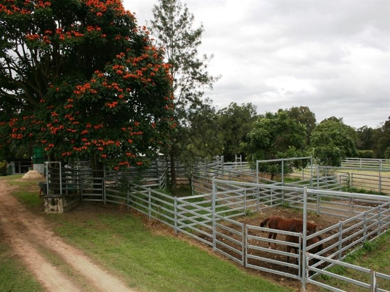 982 East Funnel Creek Road, Sarina Range QLD 4737