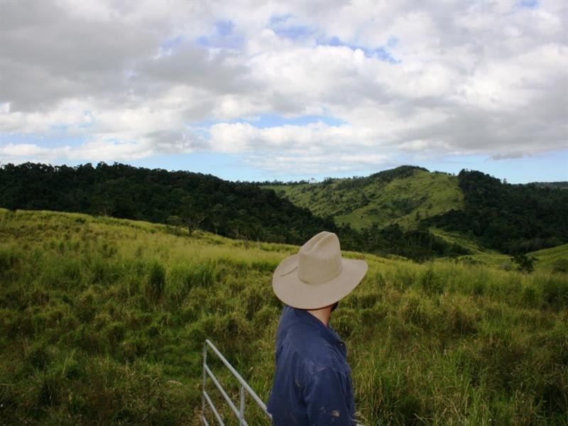 982a East Funnel Creek Road, Sarina Range QLD 4737