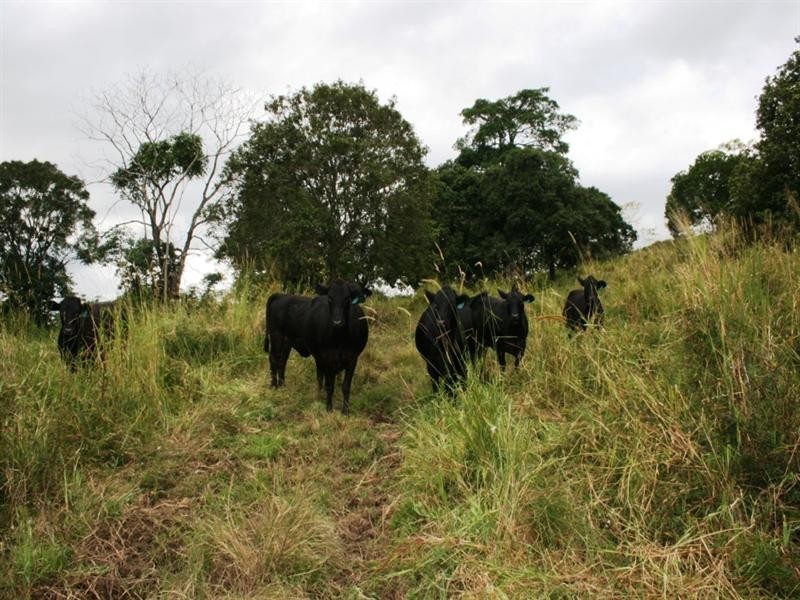 982a East Funnel Creek Road, Sarina Range QLD 4737