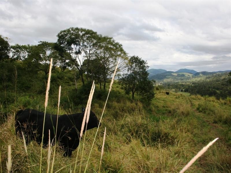 982a East Funnel Creek Road, Sarina Range QLD 4737