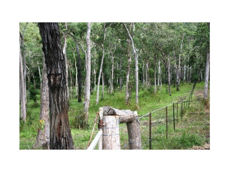 301 Tara Creek Road, Sarina QLD 4737