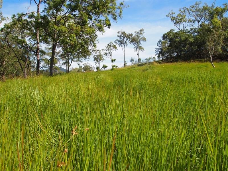 lot 6 Marlborough-Sarina Road, Sarina QLD 4737