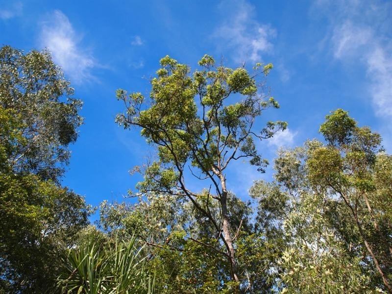 lot 6 Marlborough-Sarina Road, Sarina QLD 4737