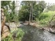 286 Middle Creek Road, Sarina QLD 4737