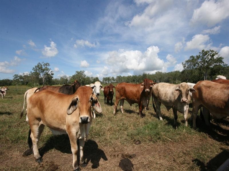 88479 Bruce Highway, Sarina QLD 4737