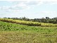Pine Creek QLD 4670