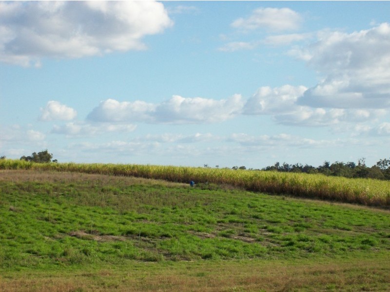 Pine Creek QLD 4670