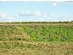 Pine Creek QLD 4670