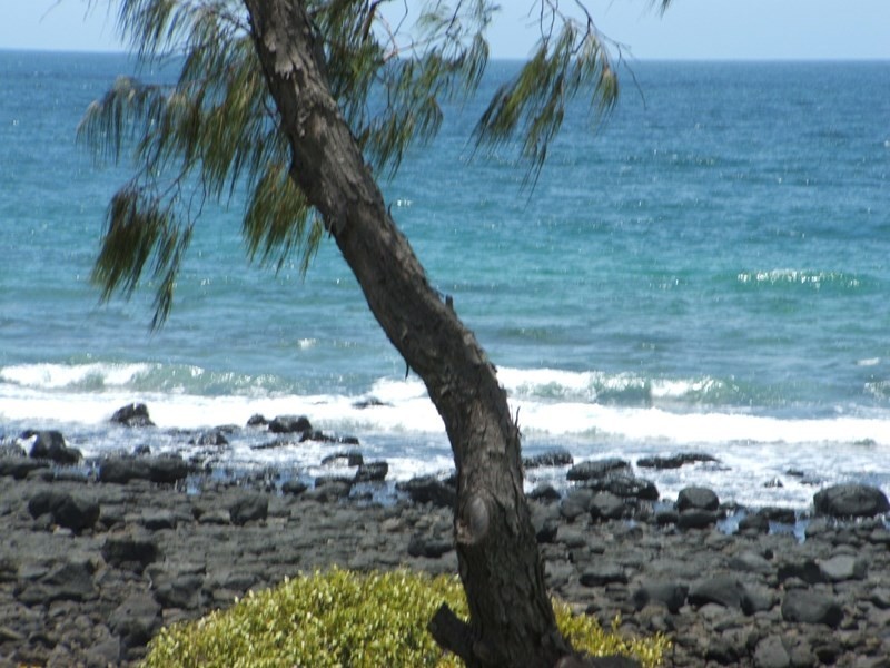 28 Coolanblue Avenue, Innes Park QLD 4670