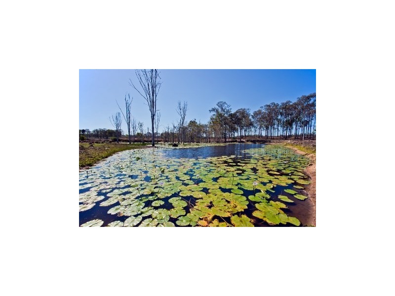 121 Waterloo Hall Road, Waterloo QLD 4673