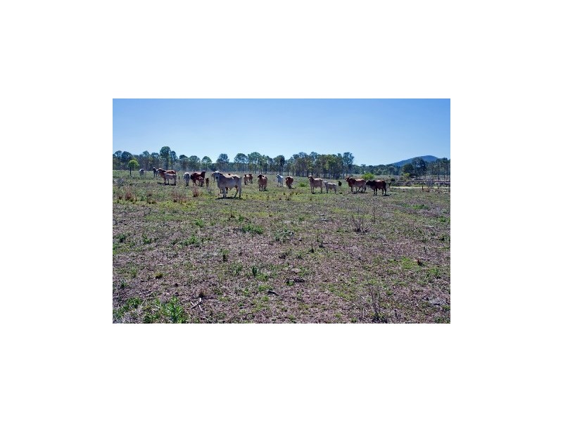 121 Waterloo Hall Road, Waterloo QLD 4673