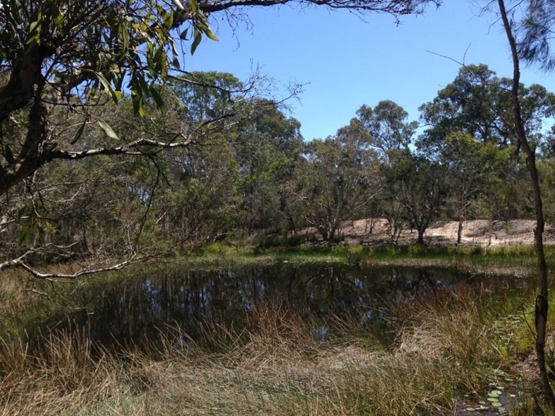 191 Woodgate Road, Woodgate QLD 4660