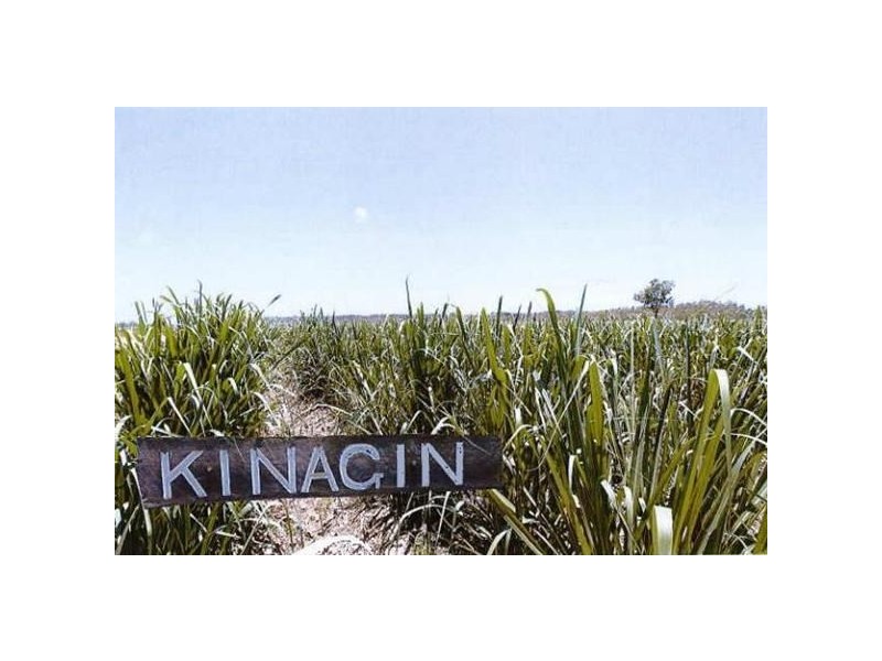 27 Nelsons Road, Bucca QLD 4670