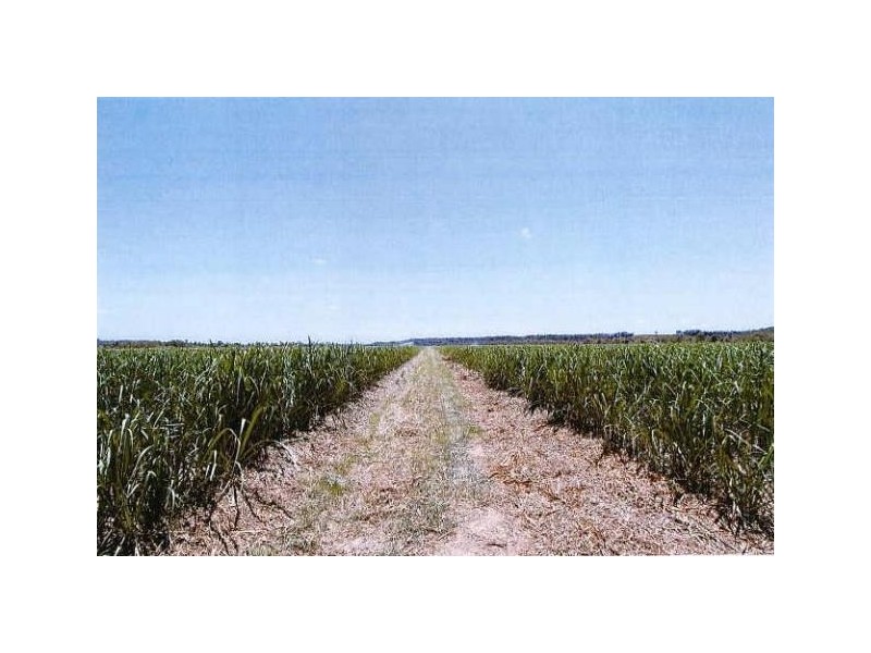 27 Nelsons Road, Bucca QLD 4670