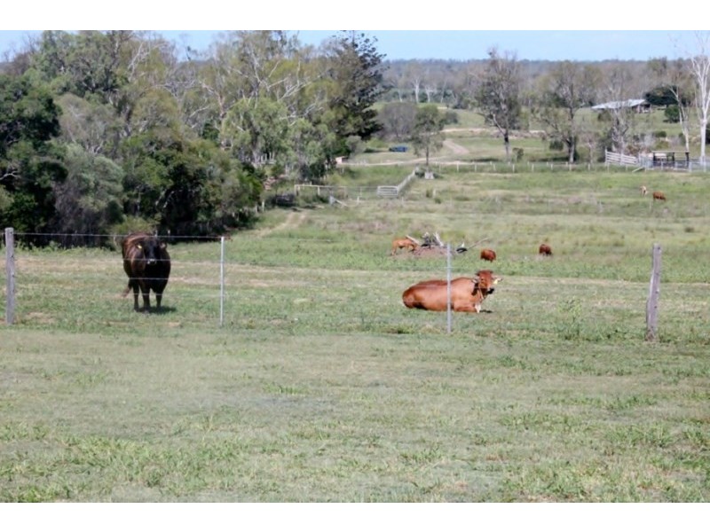 Bucca QLD 4670