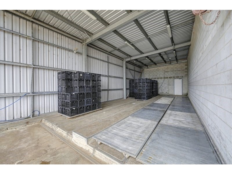 41 Production Street, Svensson Heights QLD 4670