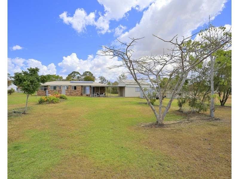 1 Palomino Avenue, Branyan QLD 4670