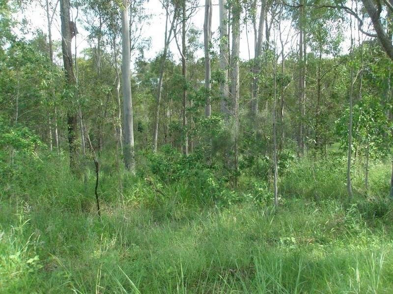 43 Tanderra Drive, South Kolan QLD 4670