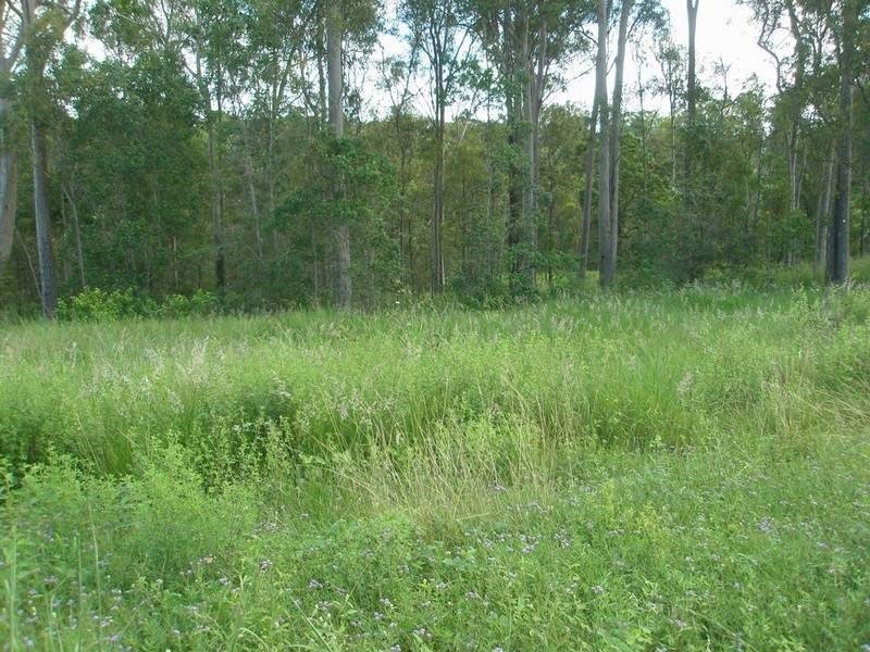 43 Tanderra Drive, South Kolan QLD 4670