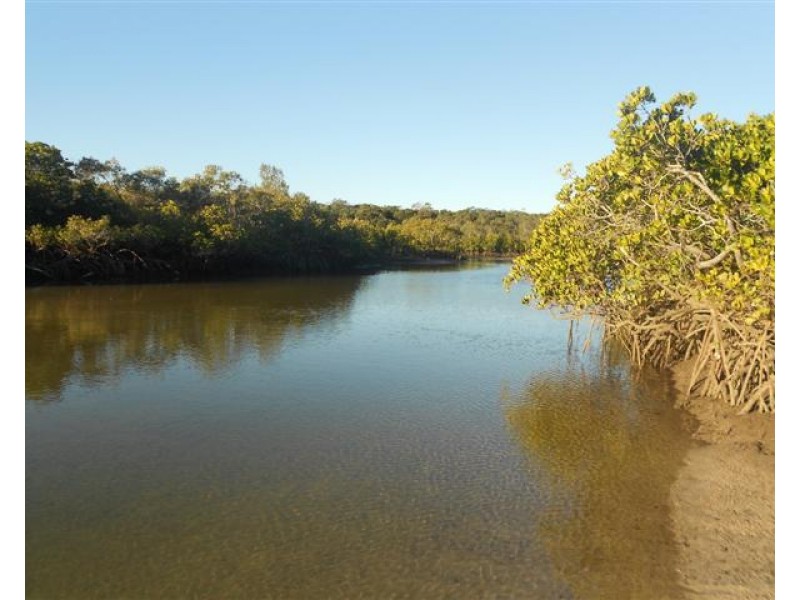 13 Fern Tree Drive, Coonarr QLD 4670