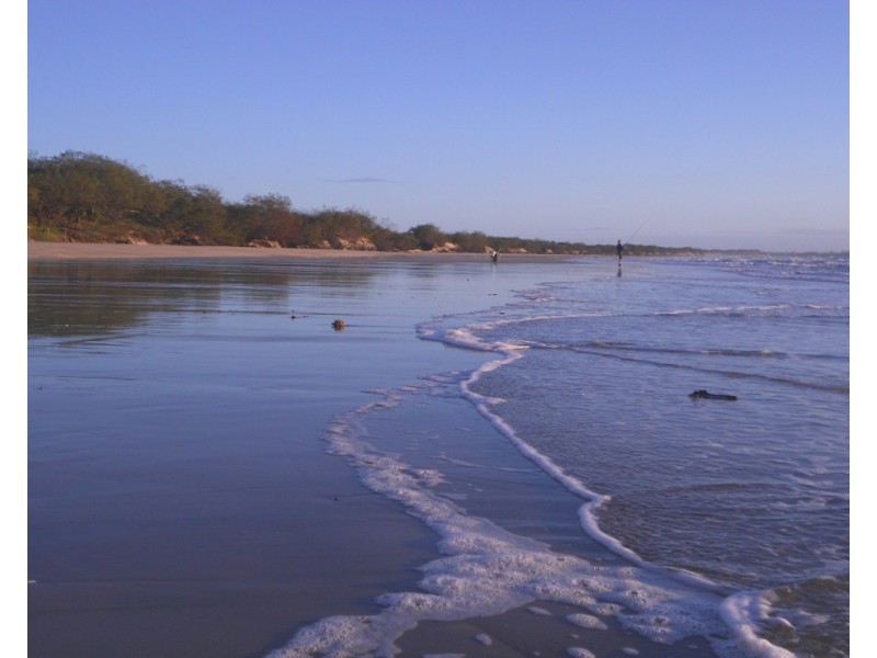 13 Fern Tree Drive, Coonarr QLD 4670