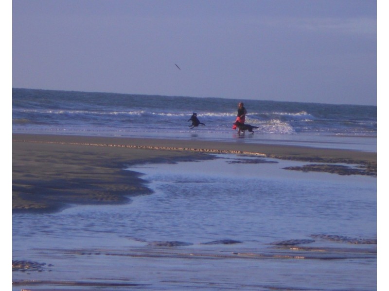 13 Fern Tree Drive, Coonarr QLD 4670