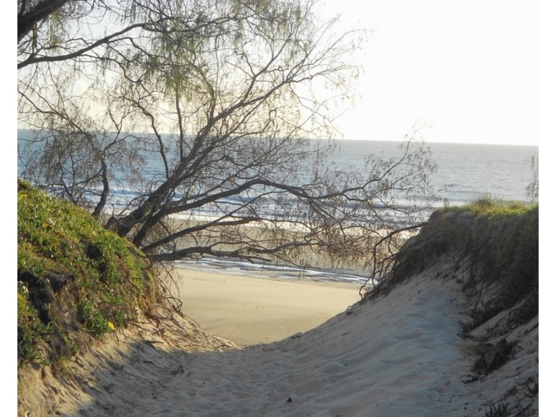 13 Fern Tree Drive, Coonarr QLD 4670