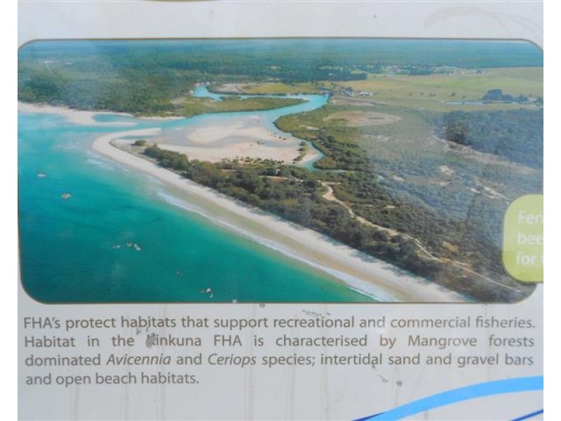 13 Fern Tree Drive, Coonarr QLD 4670