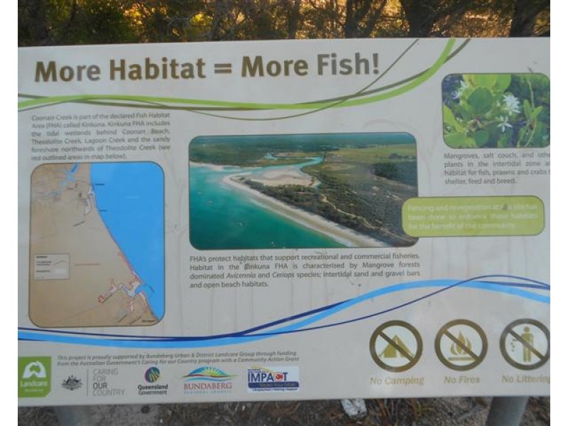 13 Fern Tree Drive, Coonarr QLD 4670