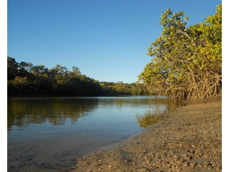 13 Fern Tree Drive, Coonarr QLD 4670