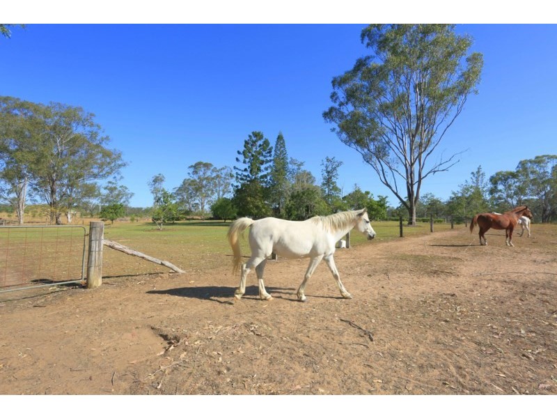 81 Smith Crossing Road, Bucca QLD 4670
