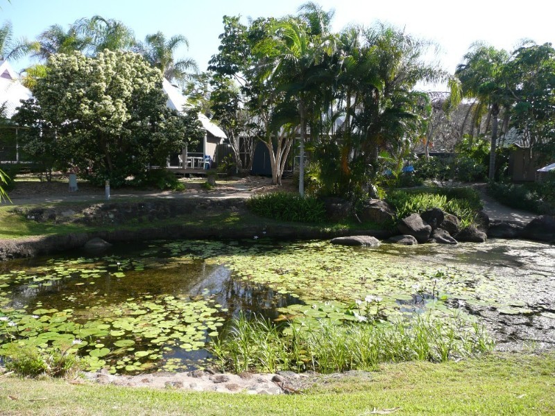 Bargara QLD 4670
