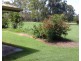 8 Tanderra Drive, South Kolan QLD 4670