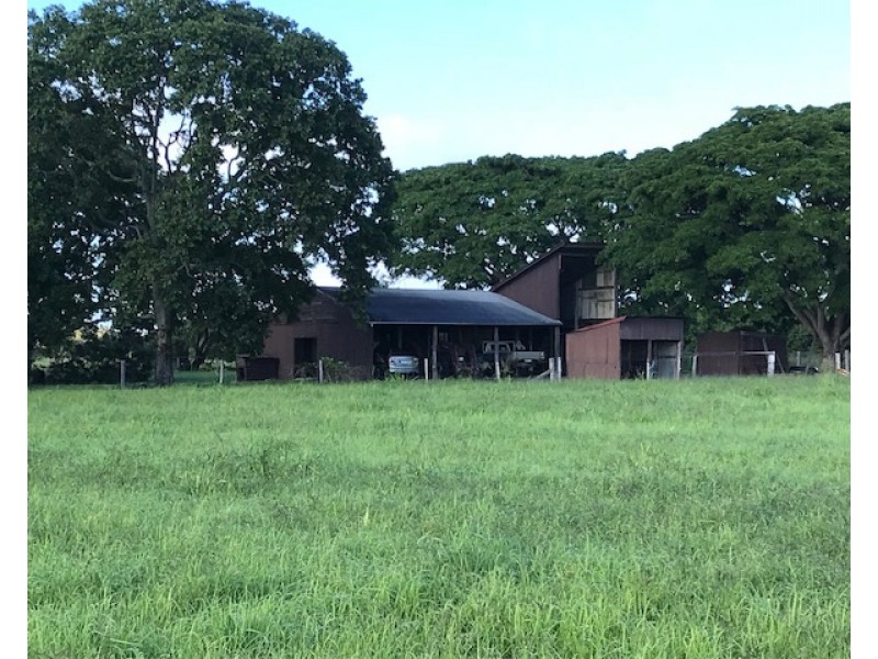 82 Raines Road, Sharon QLD 4670