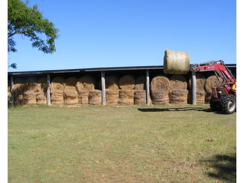 82 Raines Road, Sharon QLD 4670