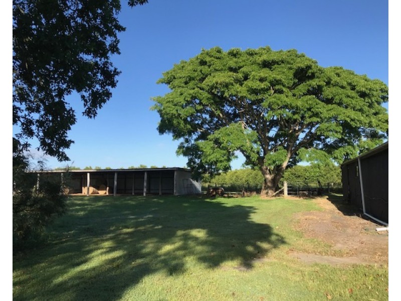 82 Raines Road, Sharon QLD 4670