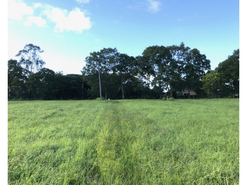 82 Raines Road, Sharon QLD 4670