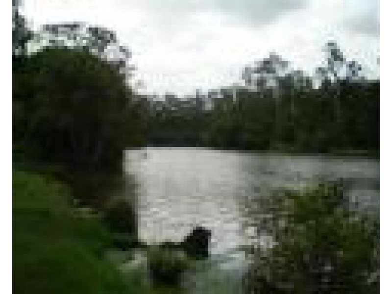 824 Bucca Road, Bucca QLD 4670